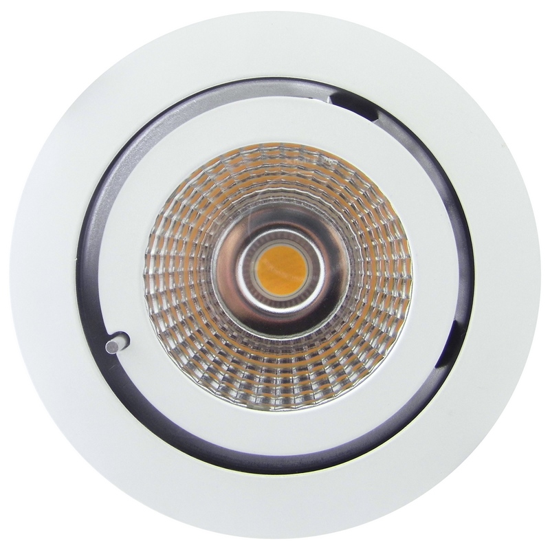 NYOS-LED : Downlight LED basculant 45°