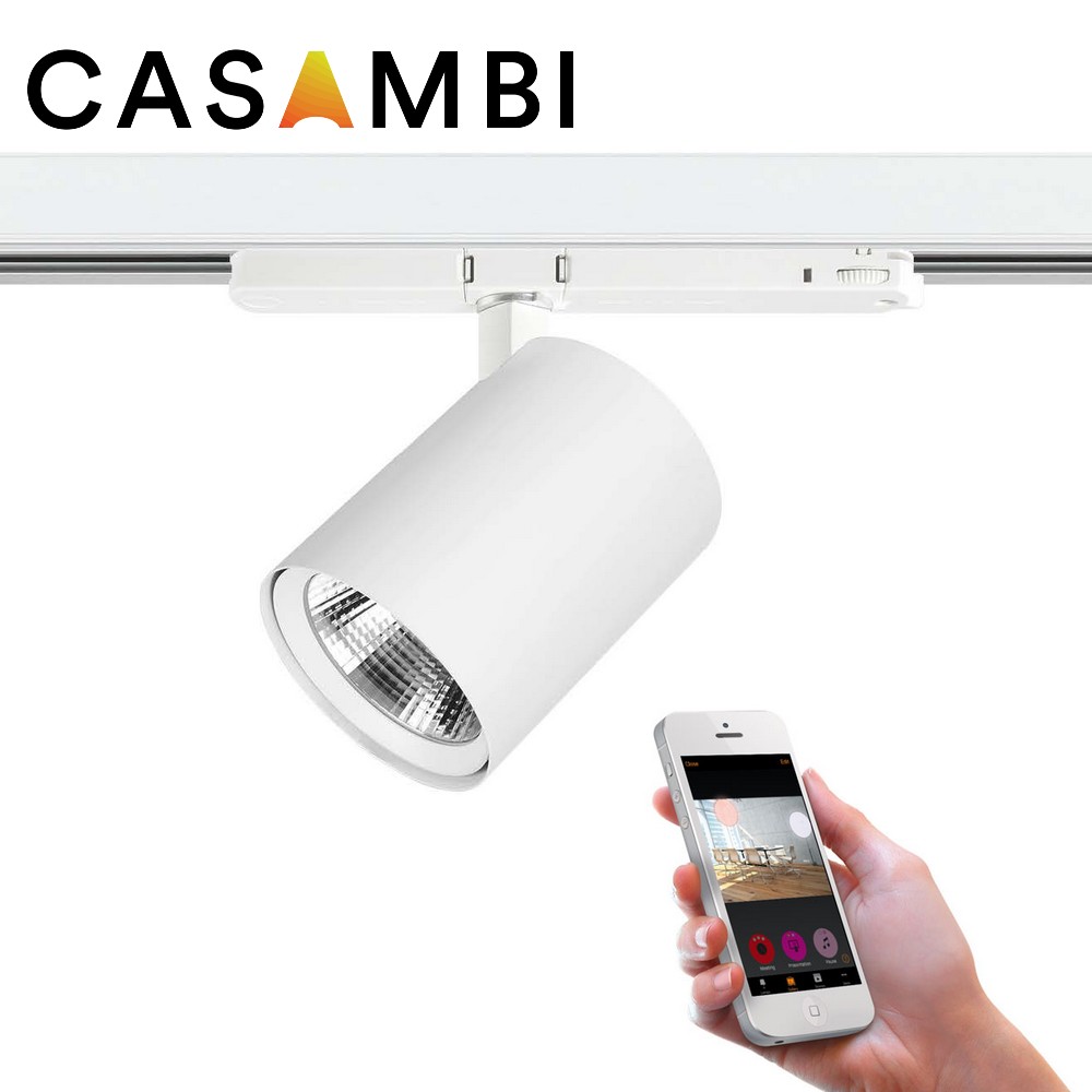 TEMPA-36W-CASAMBI : Projecteur LED dimmable via CASAMBI, driver intégré dans le rail