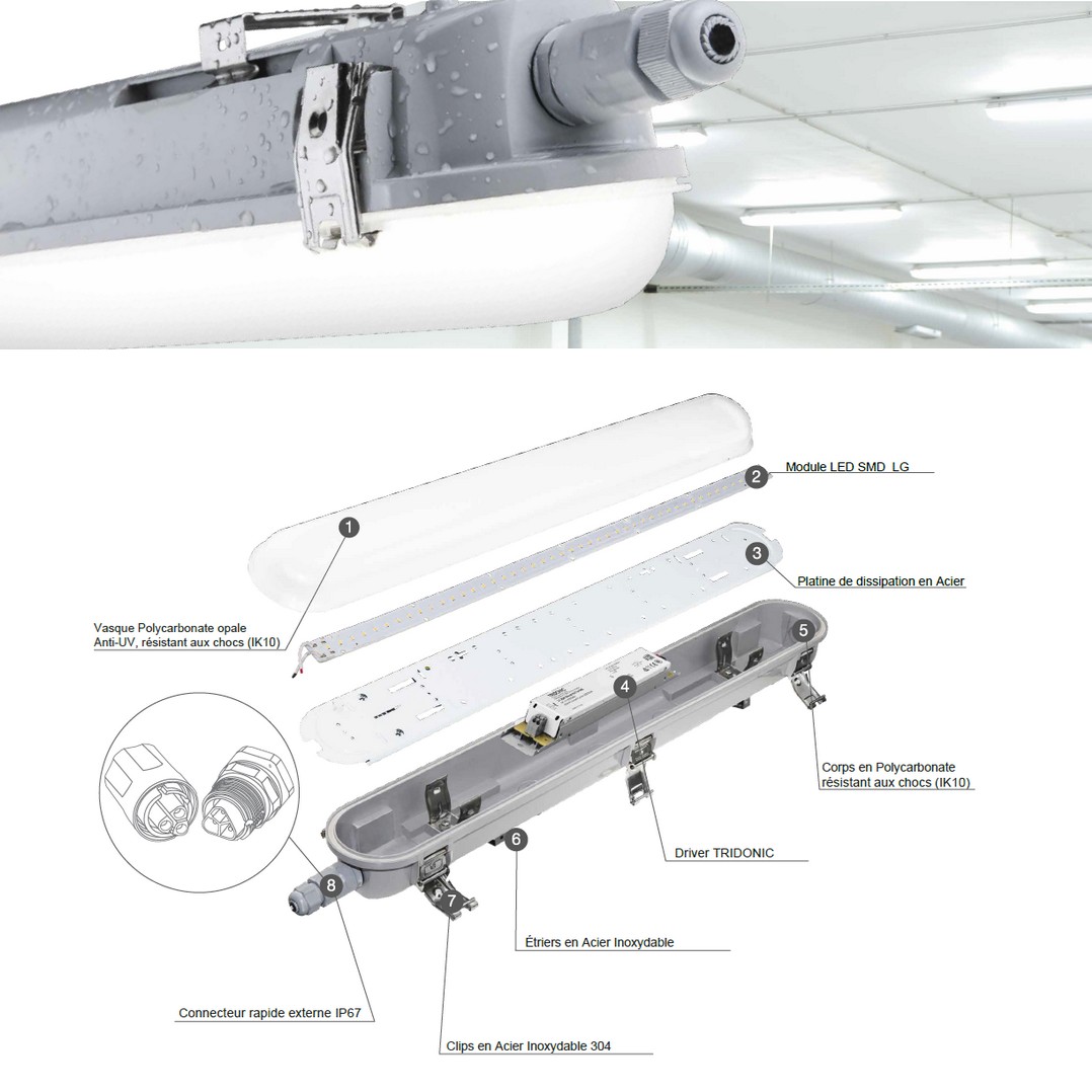 THORI: Réglette LED étanche IP66, IK10, 65W 5000°K 8450 lumens